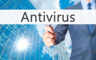 網絡信息安全系統與相關軟件開發概覽